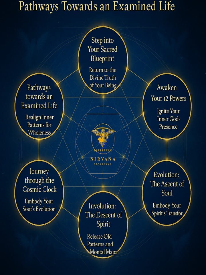 Pathways Chart of Evolution - 5-14-2025 - Nirvana Lifestyle Network